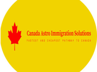 immigration services-reliable,honest,trustworthy-great advice