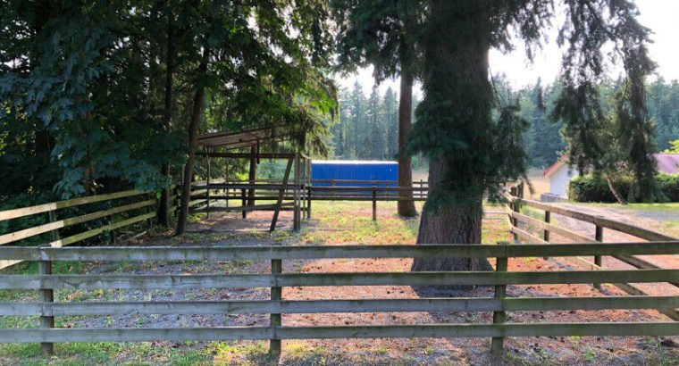 HORSE BOARDING AVAILABLE near Campbell Valley Trails