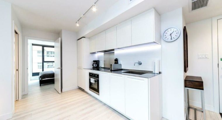 Available now! 2 Bedroom fully furnished 4 1/2 in DT Vancouver!