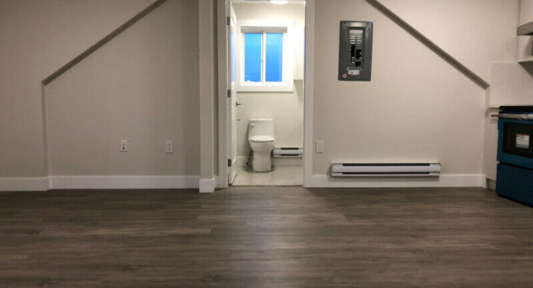 BRAND NEW laneway studio suite w/ den for rent in prime location