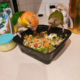 Homemade Meals and Meal Plans for birds