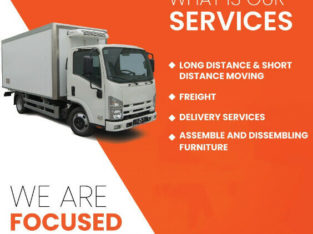 Moving, freight and storage services