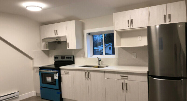 BRAND NEW laneway studio suite w/ den for rent in prime location