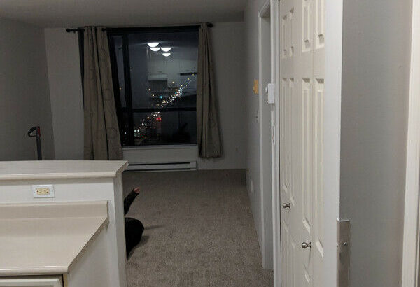 1 bedroom + den apartment right next to Joyce skytrain station