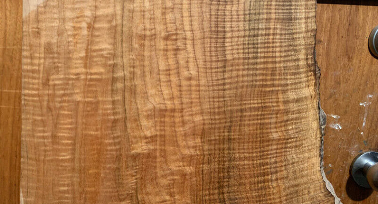 Curly live edge maple slab