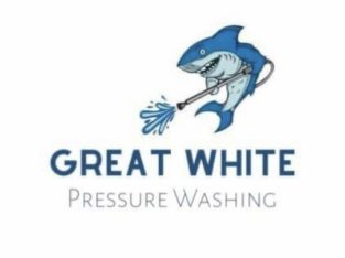 Pressure washing services