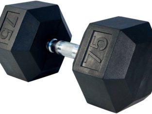 75 Lbs dumbbells for sale