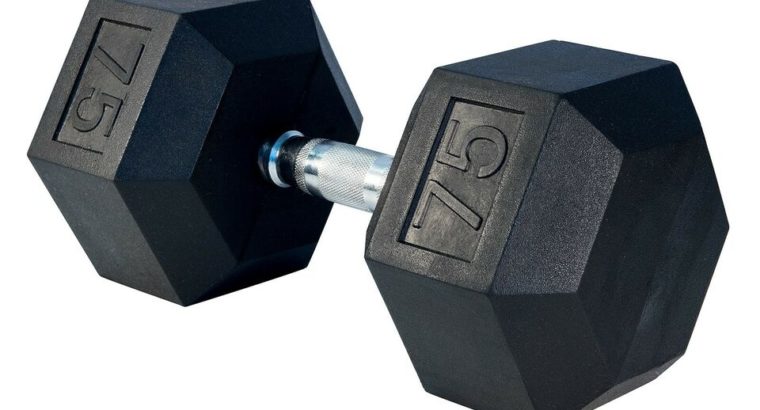 75 Lbs dumbbells for sale