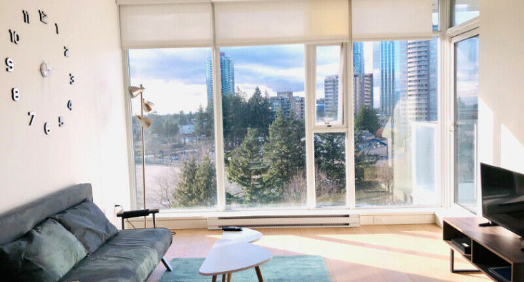 Cozy furnished condo at Metrotown with park view