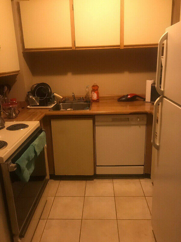 FURNISHED APARTMENT DOWNTOWN