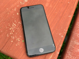 iPhone Lost & Found in Stanley Park