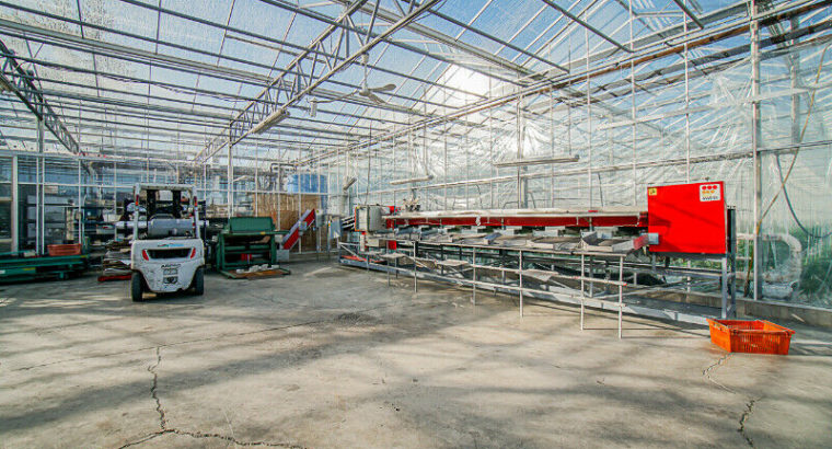 4 ACRES WITH 2.5 ACRES GREENHOUSE FACILITY