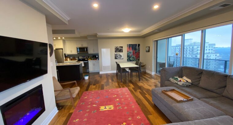 Luxury modern condominium in downtown London with easy access to university