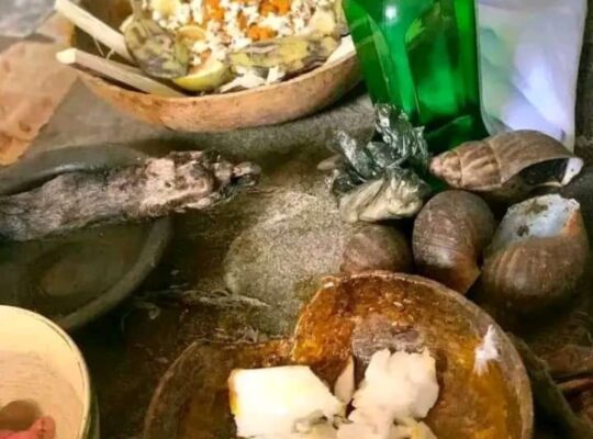 The best powerful spiritual herbalist in Nigeria+2348117855171
