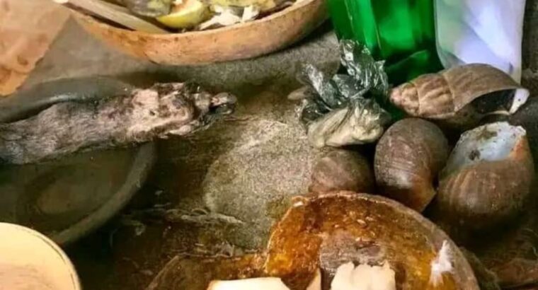 The best powerful spiritual herbalist in Nigeria+2348117855171