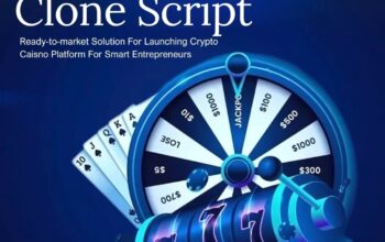 Stake Clone Script: High Profit-First Blueprint for Crypto Casino Startups