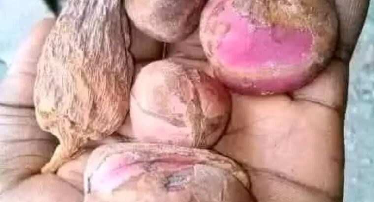 The best powerful spiritual herbalist in Nigeria+2348117855171