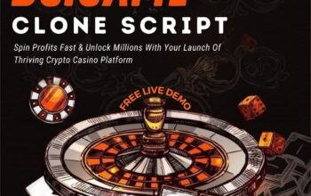Build a High-ROI Crypto Casino Platform with BC.Game Clone Script