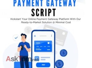Affordable Payment Gateway Script for Your Huge Startup’s Success