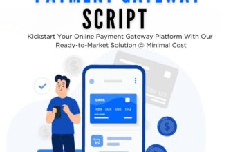 Affordable Payment Gateway Script for Your Huge Startup’s Success
