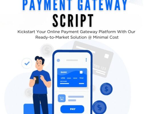 Affordable Payment Gateway Script for Your Huge Startup’s Success