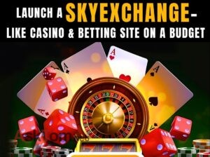 Bring Crypto Casino & Sports Betting to Your Market with Skyexchanges Clone Software