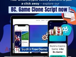BC.Game Clone Script for Online Casino Operators – White-Label Model