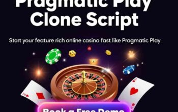 Pragmatic Play Clone Script for Casino Operators Seeking Faster Market Entry